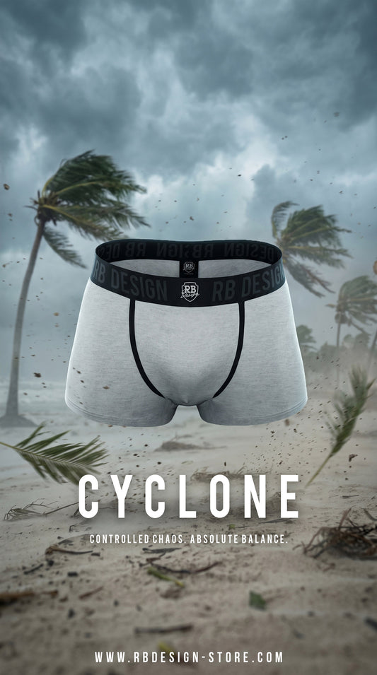 Gray boxer briefs with black waistband on a beach with palm trees and stormy sky, featuring the brand 'RB Design'.