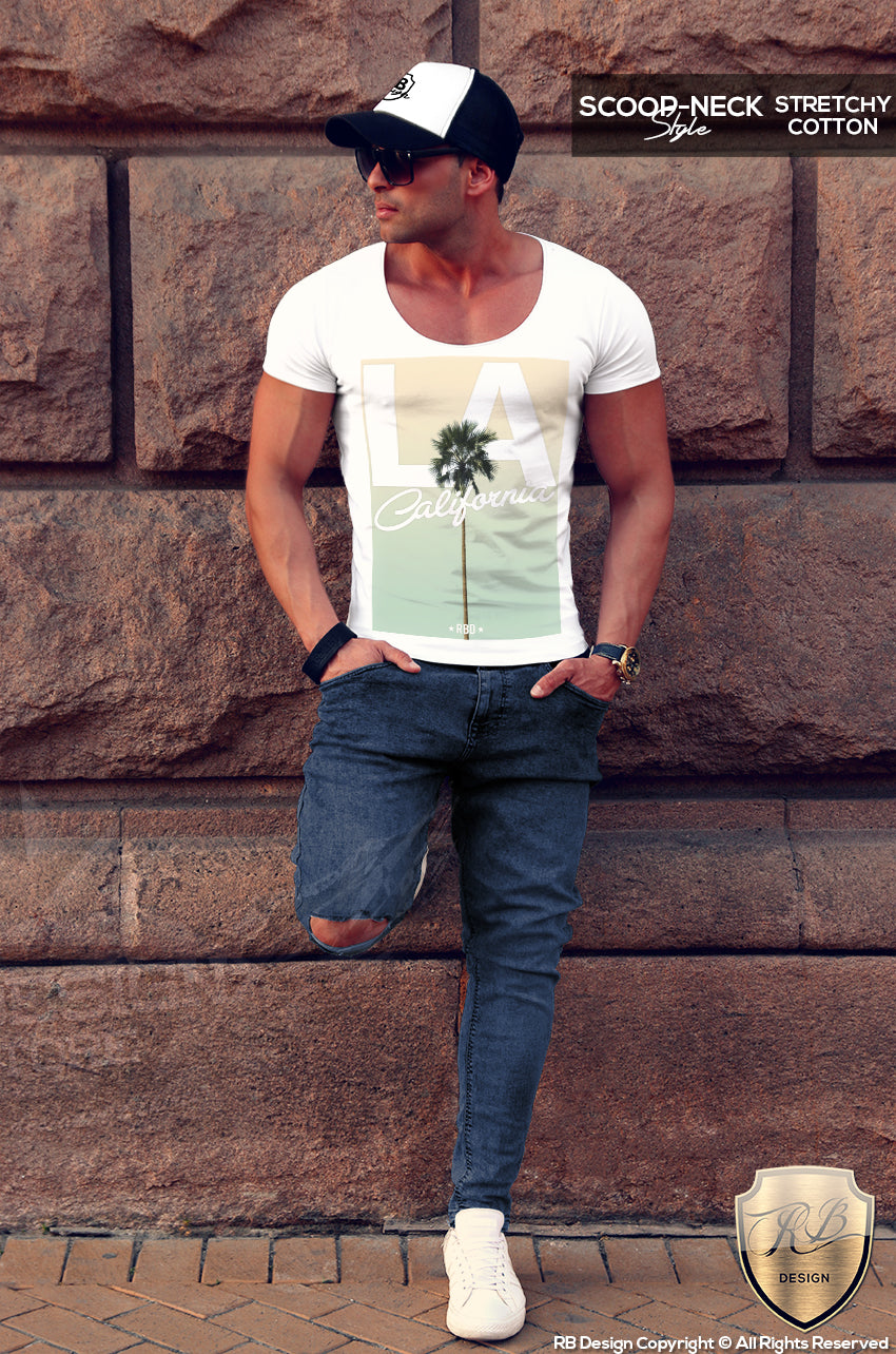 cool summer graphic tee LA