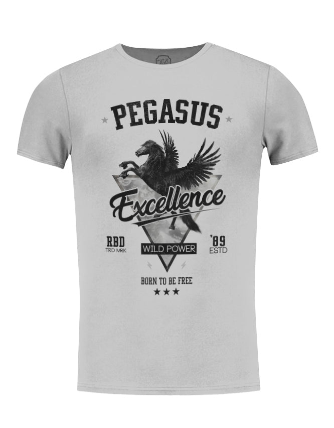 gray round neck t-shirt