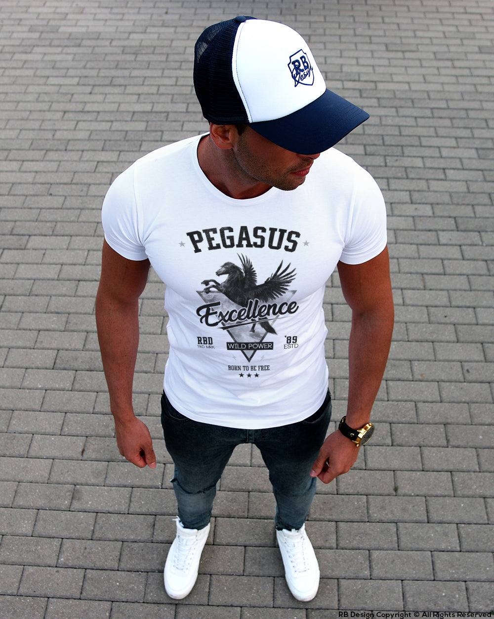 Men's T-shirt "Pegasus" MD880