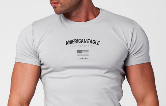 Men's T-shirt "American Eagle" Khaki Gray Beige / Color Option / MD927