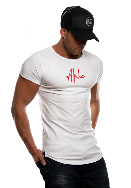 muscle fit mens t-shirt