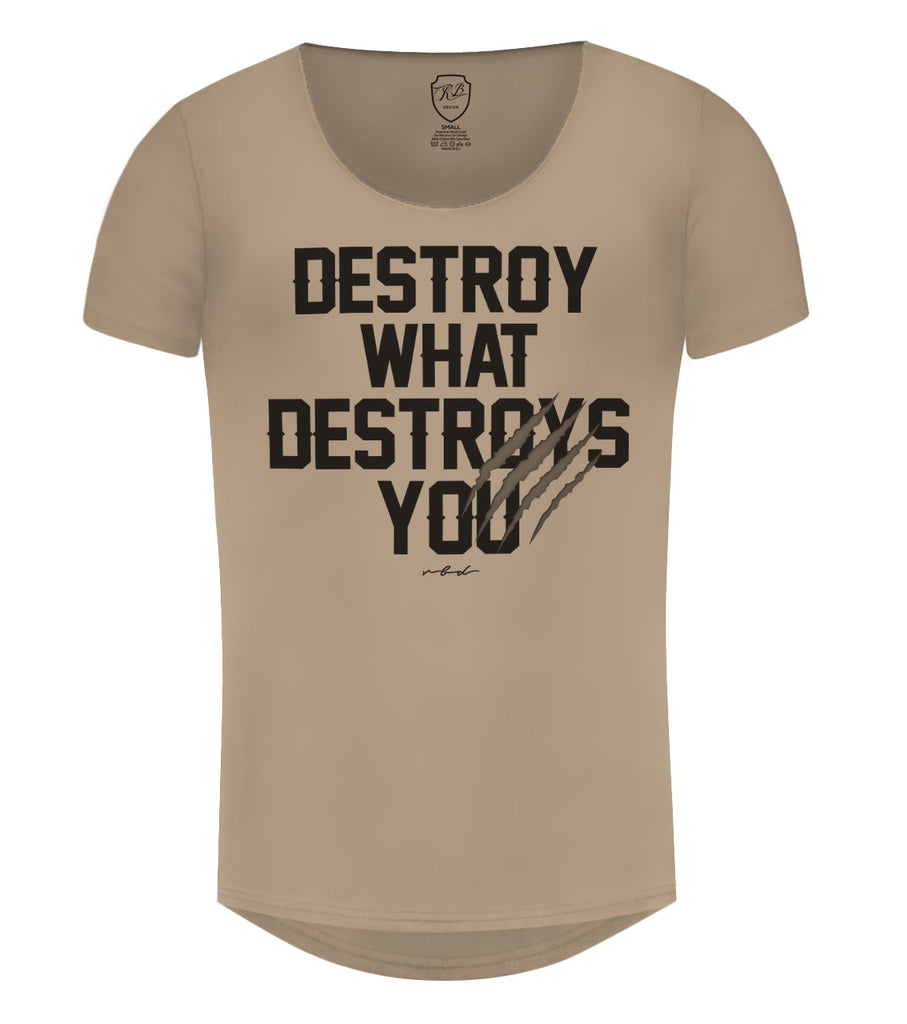 Men’s T-shirt Destroy What Destroys You Motivation Slogan Tees Online