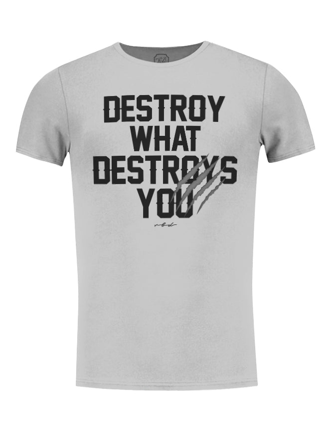 Men's T-shirt "Destroy What Destroys You" MD980
